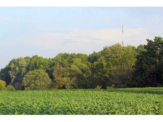 Kosciusko County, Indiana farmland - REAL ESTATE AUCTION - 91+/- ACRES IN 4 TRACTS IN KOSCIUSKO COUNTY, INDIANA